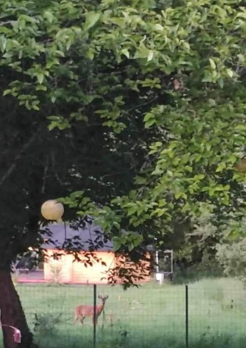 Insolite Kota Avec Spa Et Demi Bt De Champagne Offerte Ruch Экстерьер фото